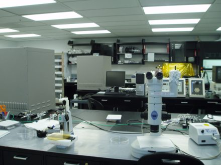 Stanford University Quake Bioengineering Lab 01